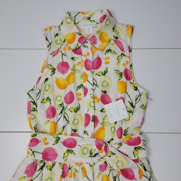Cynthia Rowley Linen Blend Tiered Button Belted DressLined-Skirt Fruits Sz 4 New - Picture 5 of 14